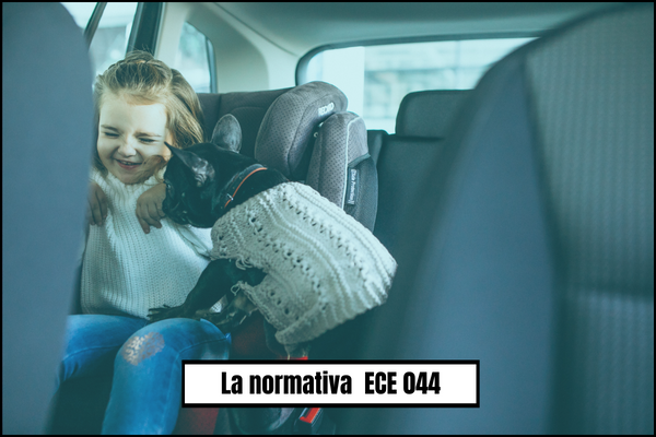 Las nuevas normativas de seguridad ECE 044