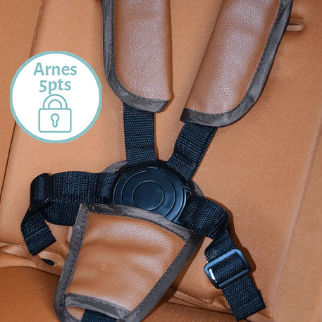 Carriola Elara 4 en 1