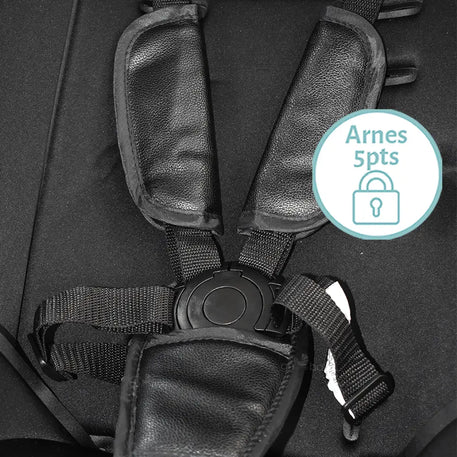 Carriola Elara 4 en 1