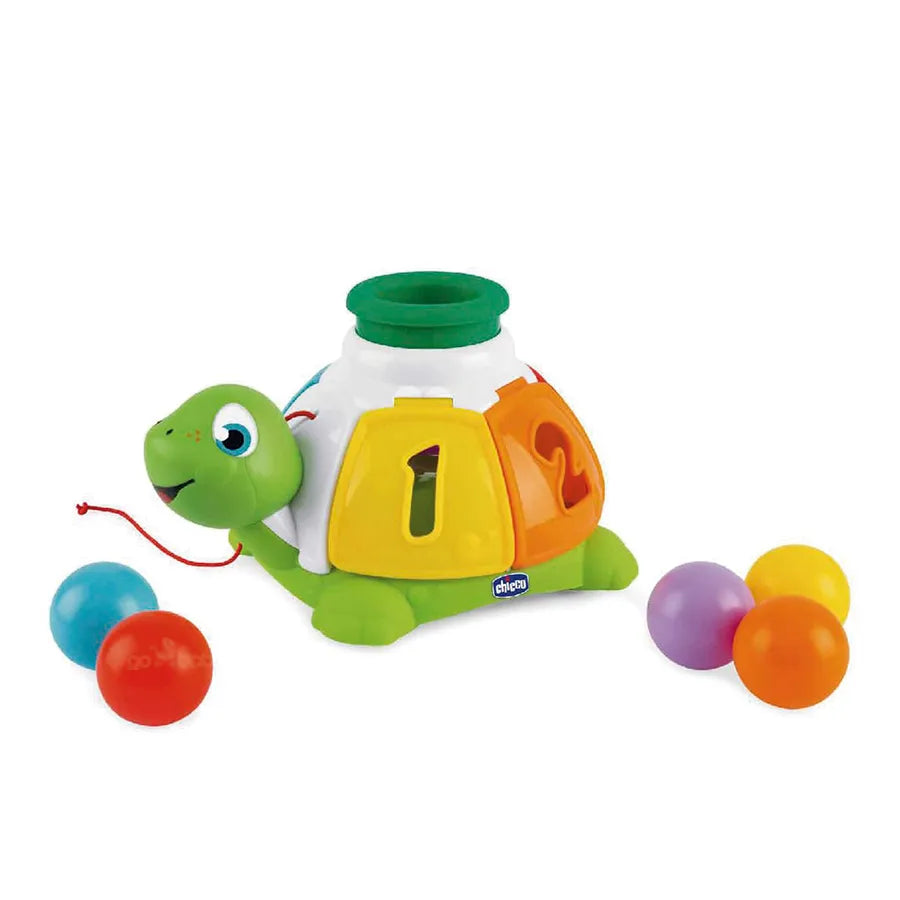 Tortuga Organizadora