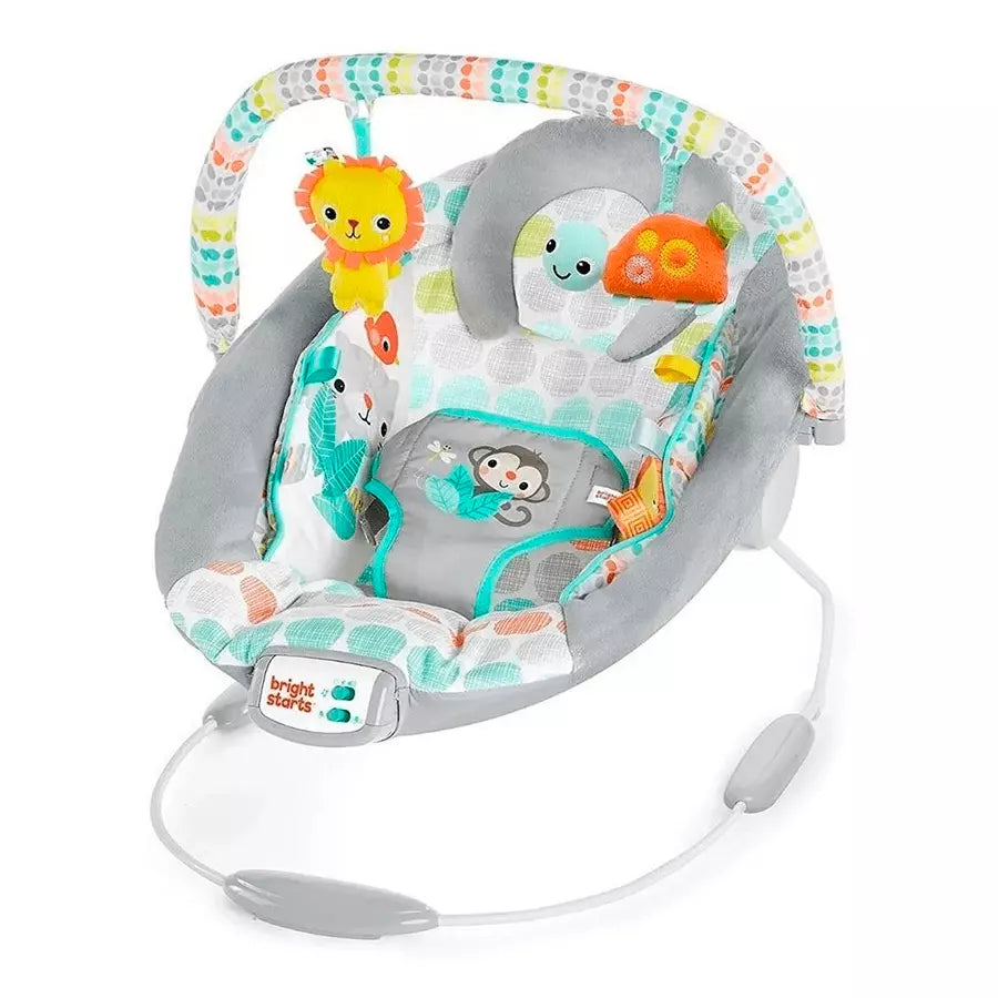 Whimsical Wild Musical