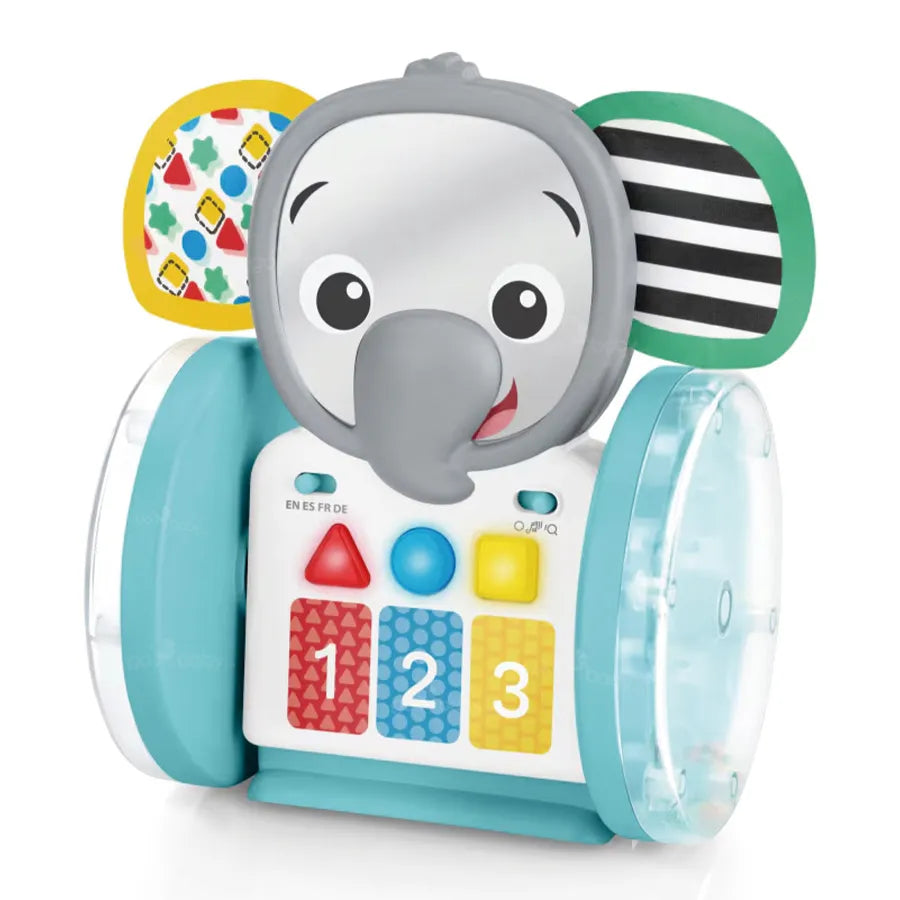 Baby Einstein 16923 Baby Box Toy, Multi-Coloured