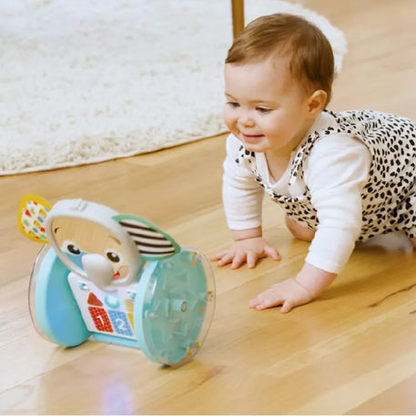 Baby Einstein 16923 Baby Box Toy, Multi-Coloured