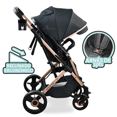 CARRIOLA GOLD LX