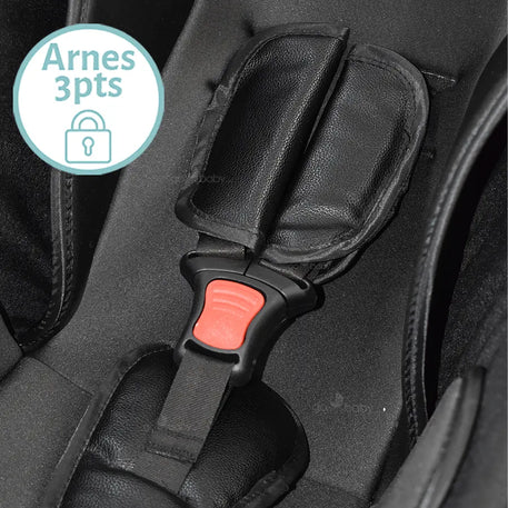 Carriola Elara 4 en 1