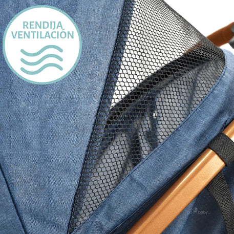 Carriola infanti park