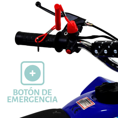 CUATRIMOTO GASO TRX-6 SK web