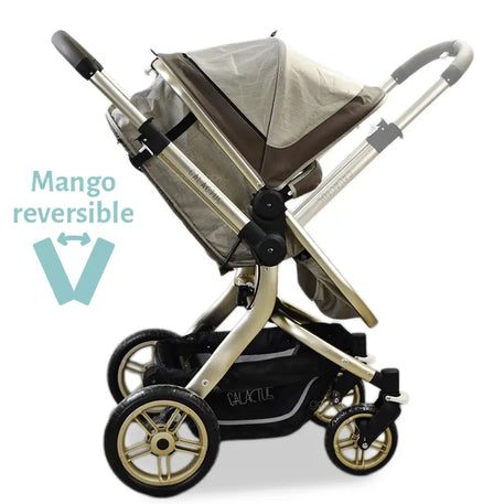 Carriola 4 en 1 Gacy