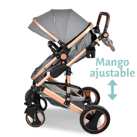 Carriola 4 en 1 CW Lucy