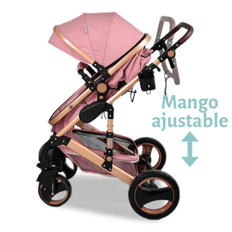 Carriola 4 en 1 CW Lucy