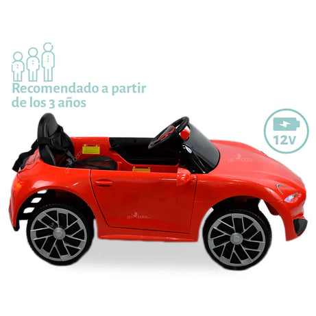 CARRO ELECTRICO TESLA web