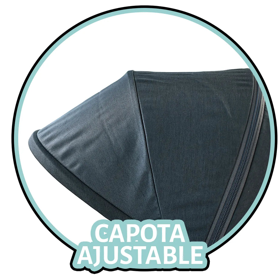 Carriola Chicco We 2