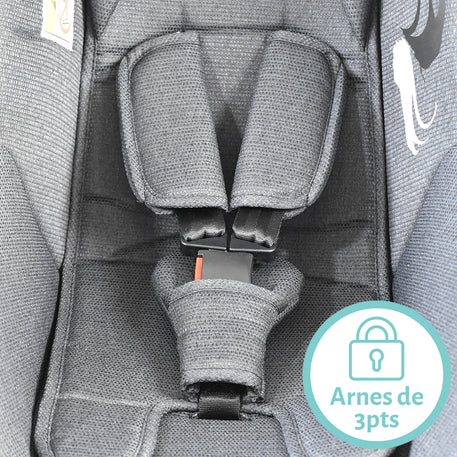 SISTEMA DE VIAJE AARON BRUSHSTROKE