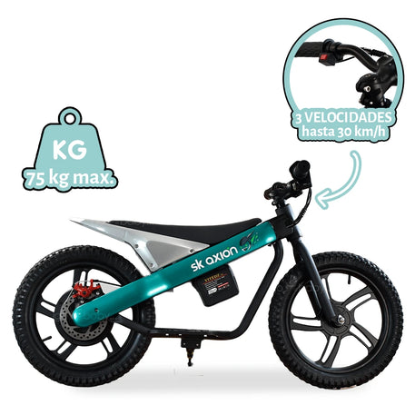 E-BIKE SK AXION