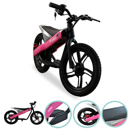 E-BIKE SK AXION