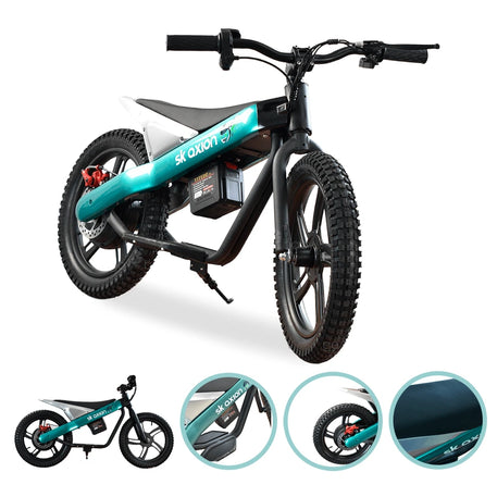 E-BIKE SK AXION