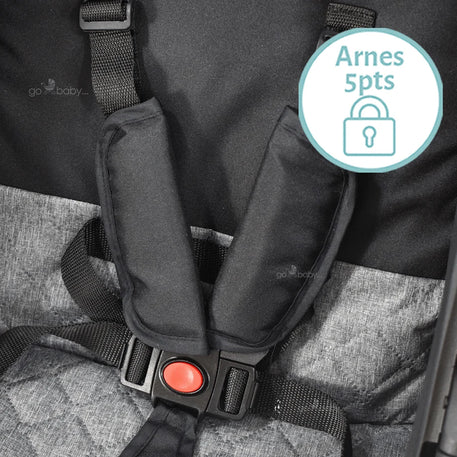 Carriola infanti park