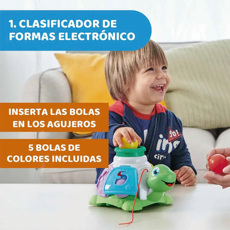 Tortuga Organizadora