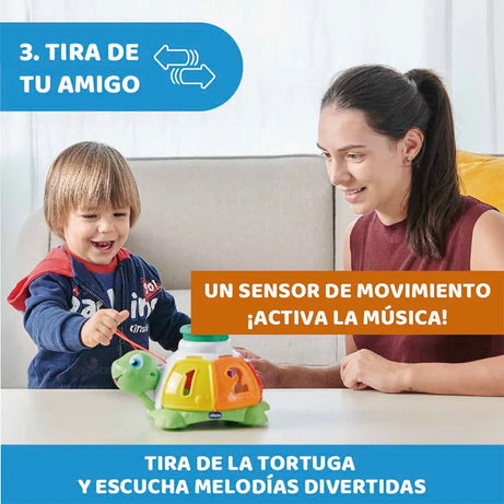 Tortuga Organizadora