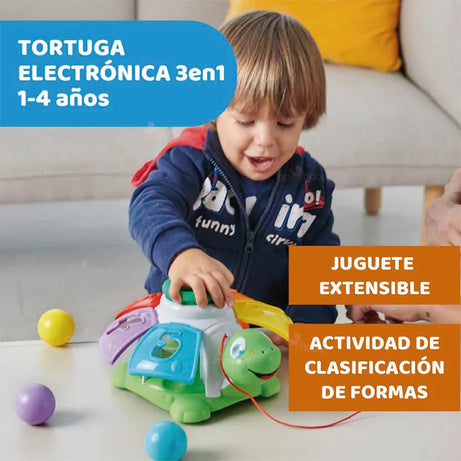 Tortuga Organizadora