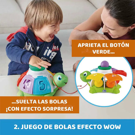 Tortuga Organizadora