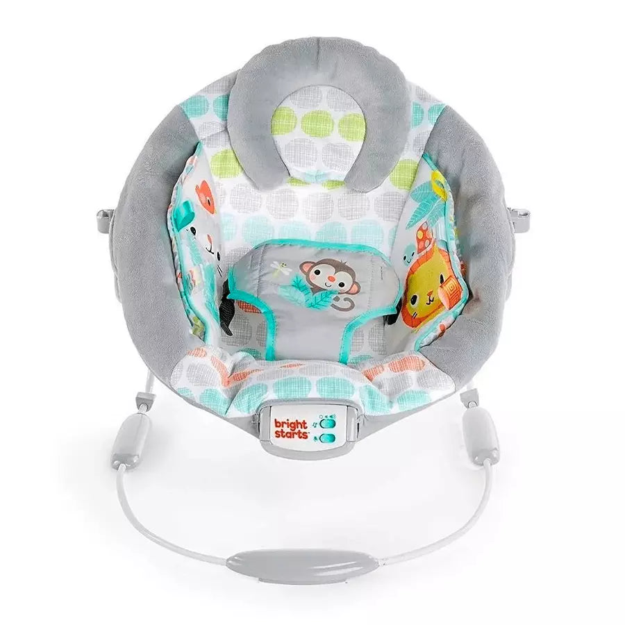 Whimsical Wild Musical